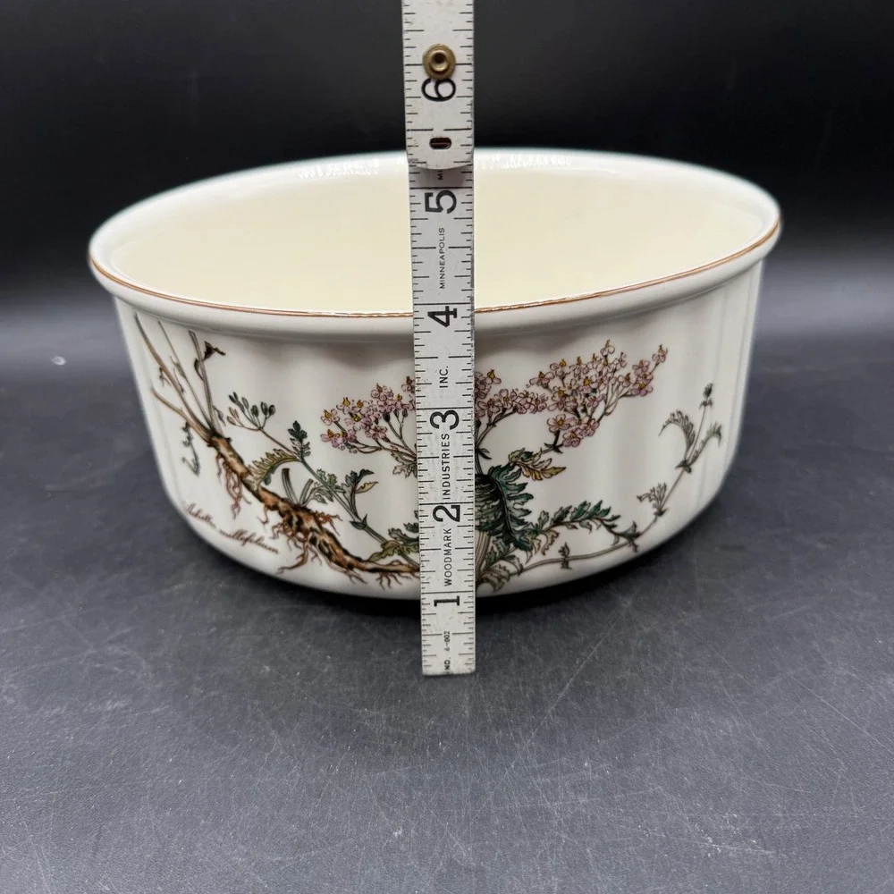 Vintage Villeroy & Boch‎ Botanical 9
